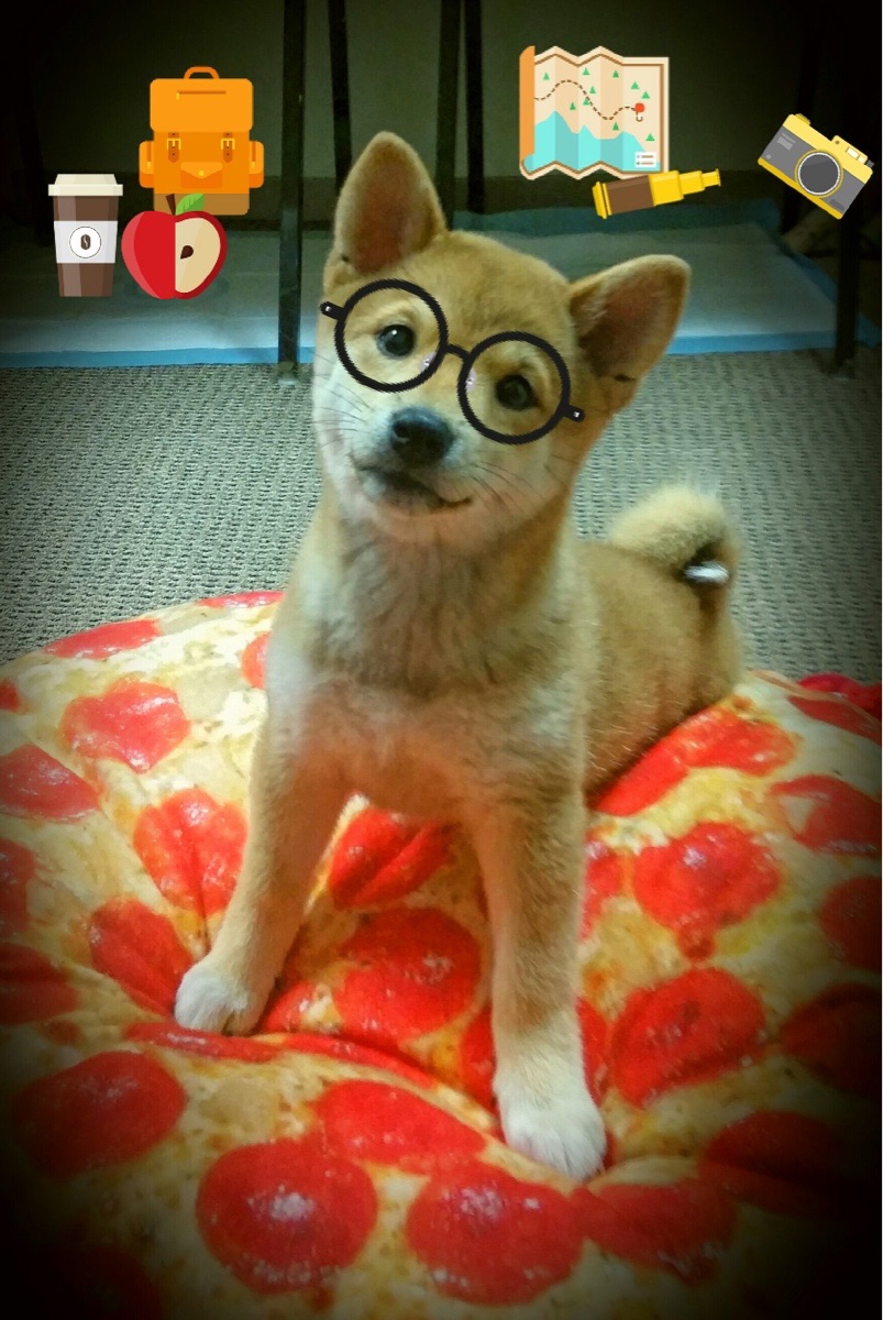 九游登录中心-莱加内斯主场逼平塞维利亚，队伍表现稳定，莱加内斯vs西班牙人