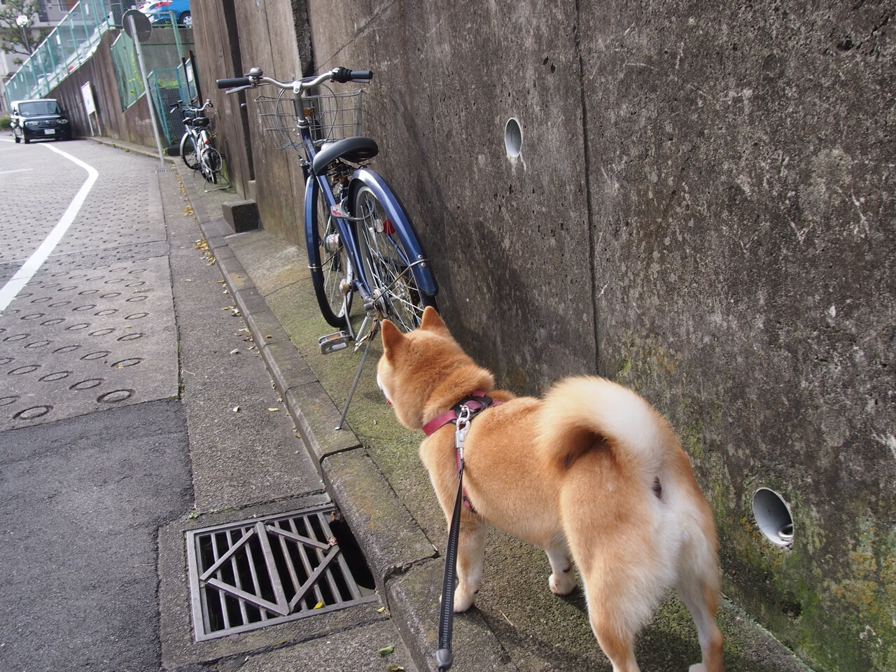 攀岩赛事吸引更多年轻人参与,攀岩比赛的规则是什么