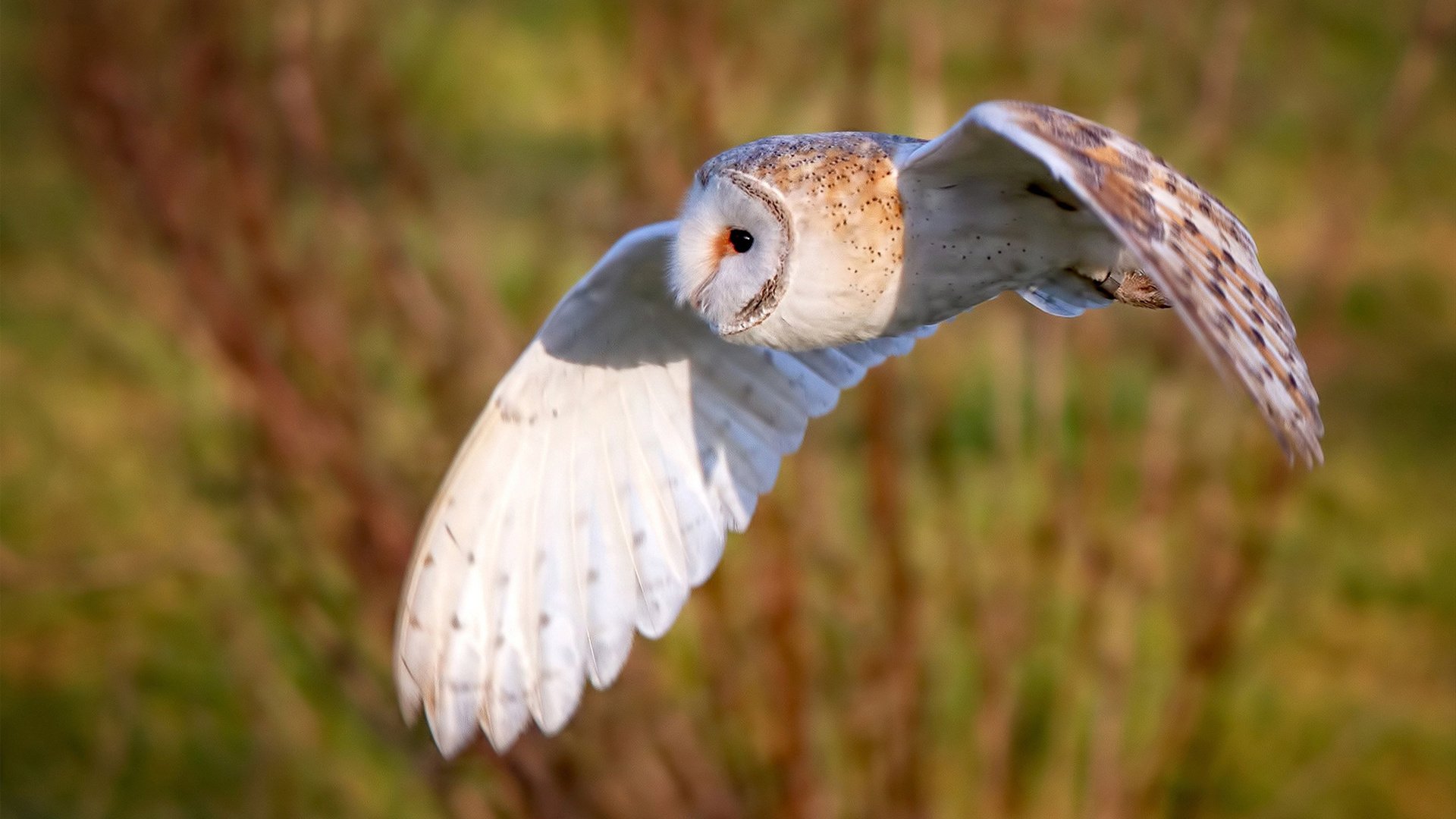 九游游戏中心-边路球员是否能通过持球时间控制整体进攻节奏，边路球员怎么摆脱防守人员