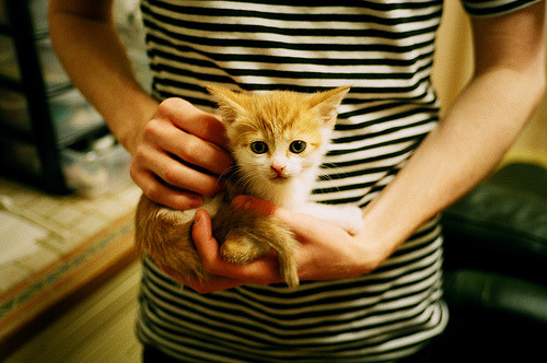 九游网页版入口-丹·卡特：为全黑队的比赛添加战术层次和深度，丹尼尔卡特