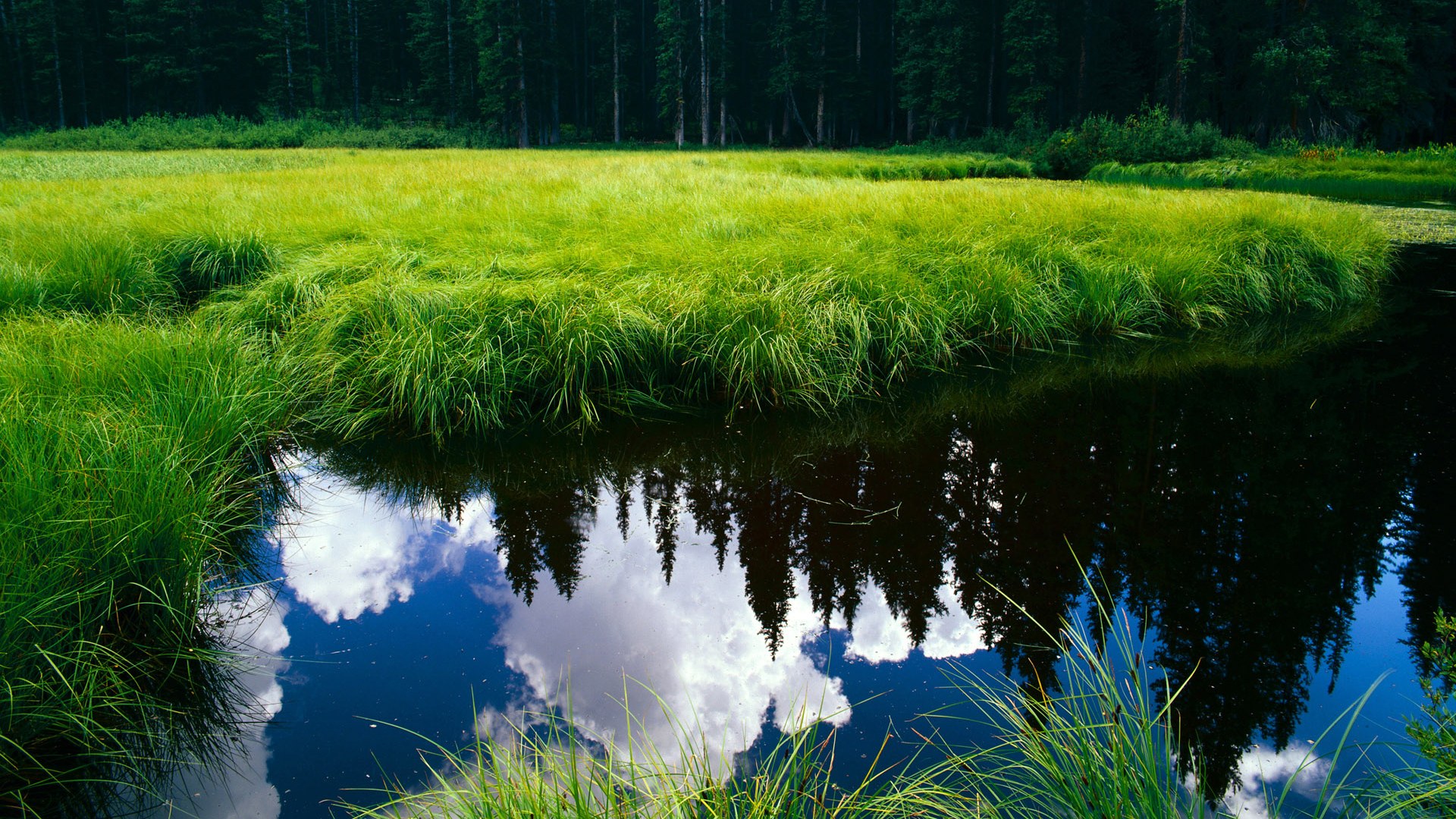乔治谈训练时长与比赛表现高度相关，乔治比赛高清视频