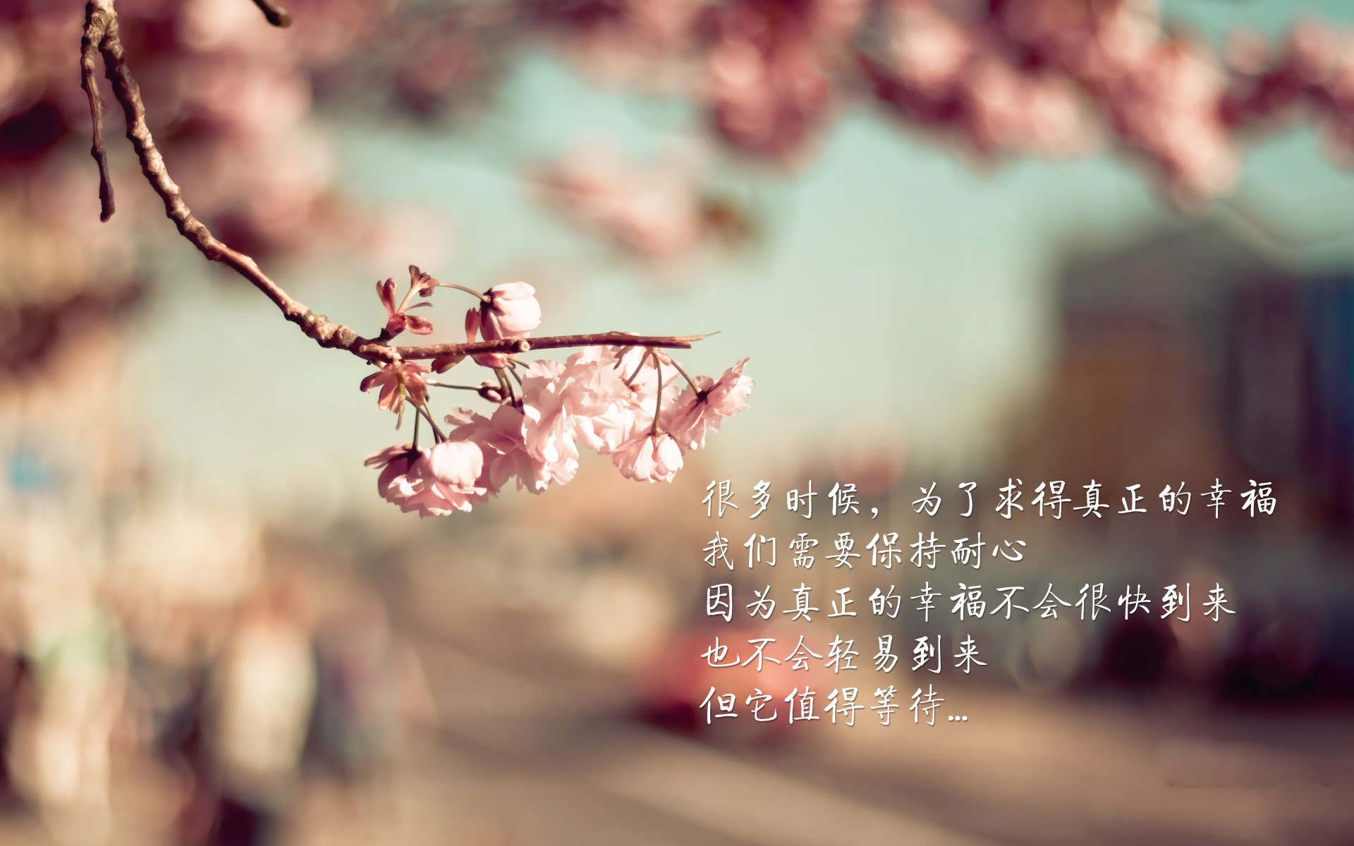 JiuyouAPP下载-国家队教练组对比分析战术数据调整球员使用策略，国家队教练是什么编制