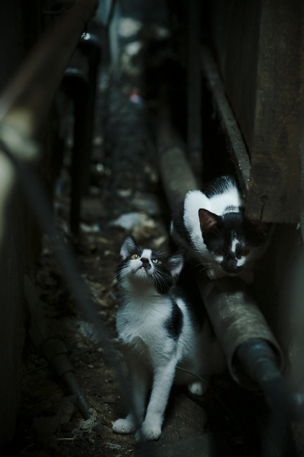 九游网页版入口-女子篮球组织分区选拔赛提高人才选拔效率，女子篮球比赛的规则