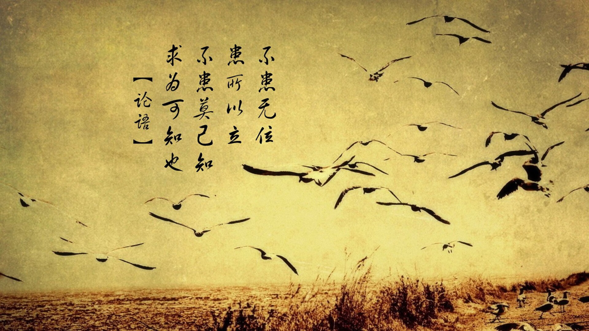 库里称赞年轻球员进步迅速,库里今年个人表现