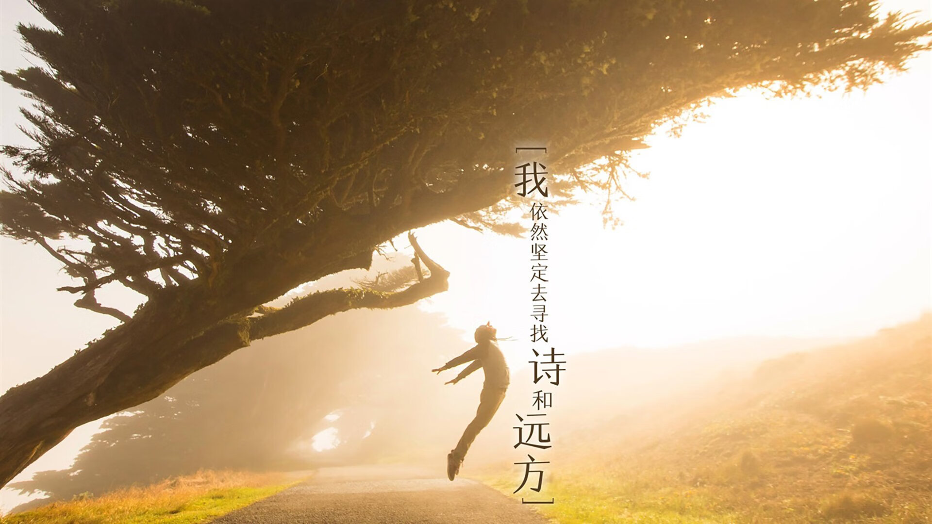 水球终场绝杀奥地利逆转胜利,水球奥运会历届冠军