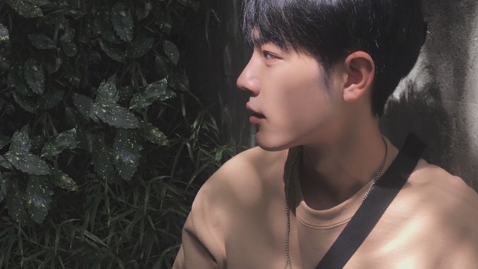 苏炳添参加赛事志愿者见面交流会,苏炳添参加接力吗