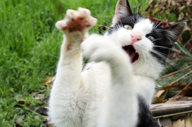 英格兰男队青训项目引发全球投资热潮，英格兰 青训